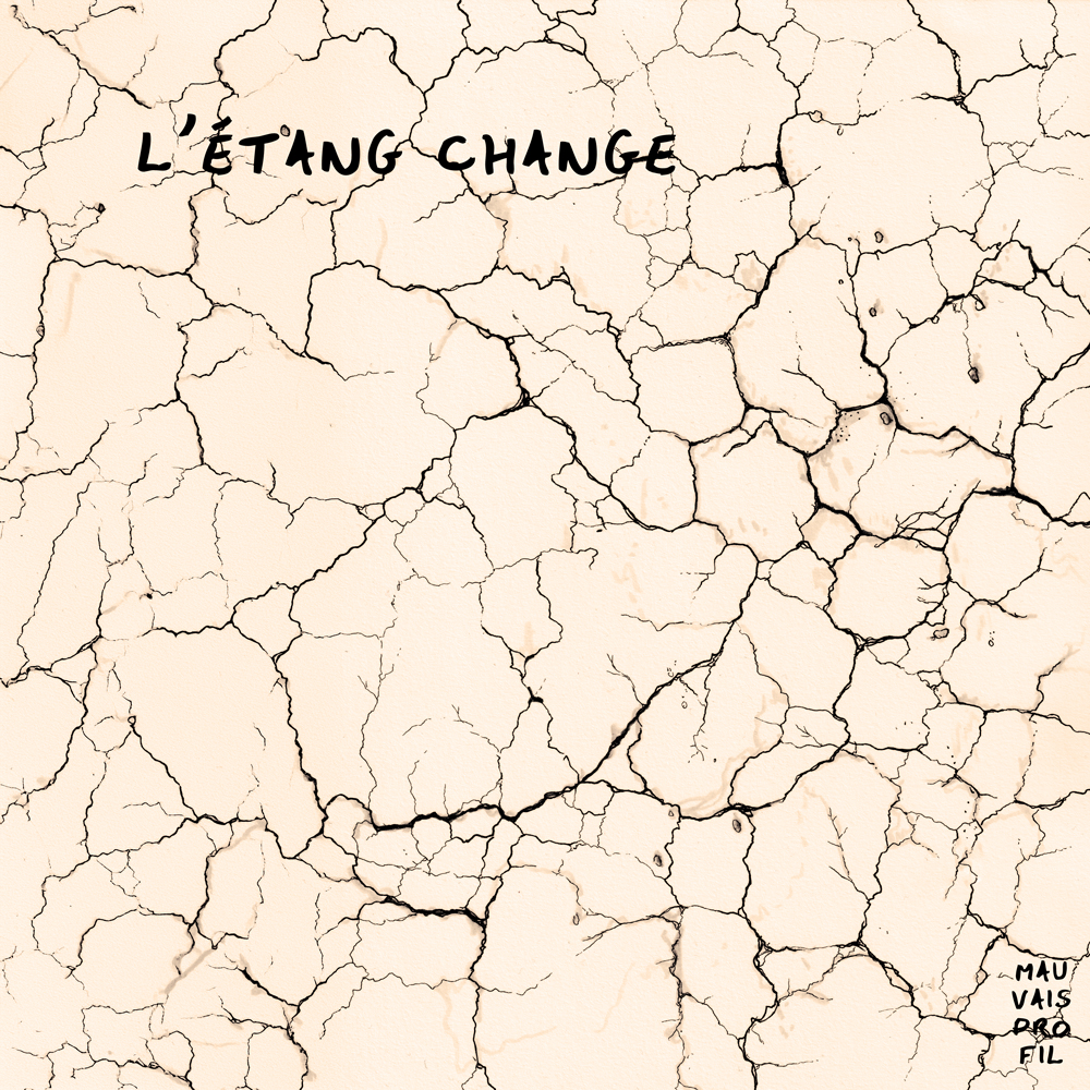 l'étang change