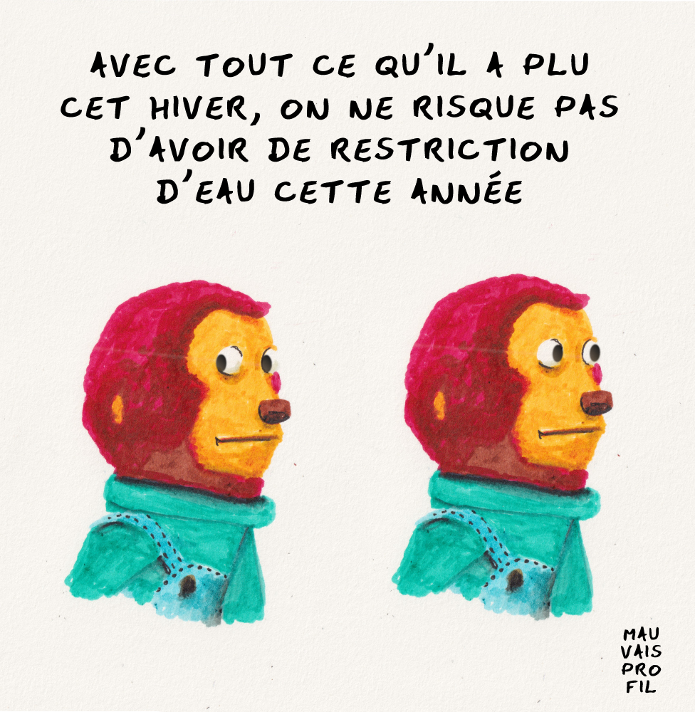 stress hydrique