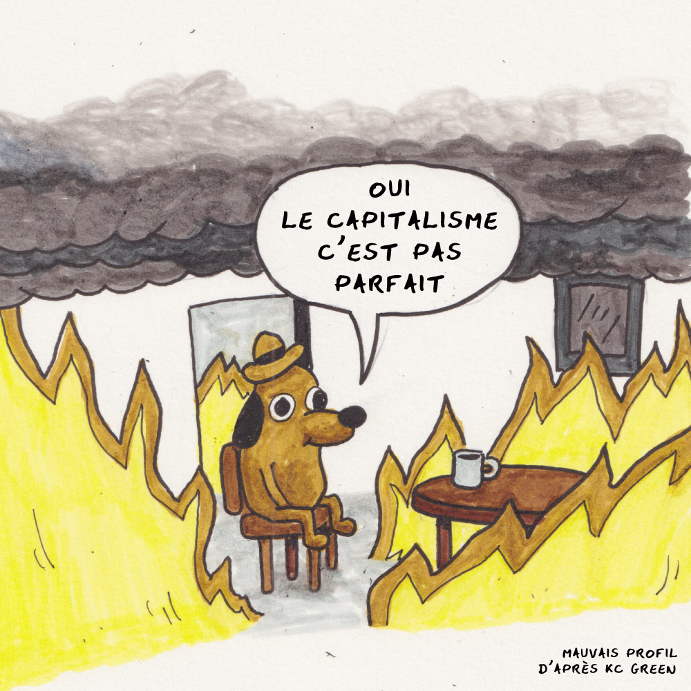 this is fine